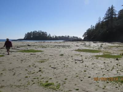 pacific rim,ile de vancouver,colombie-britannique