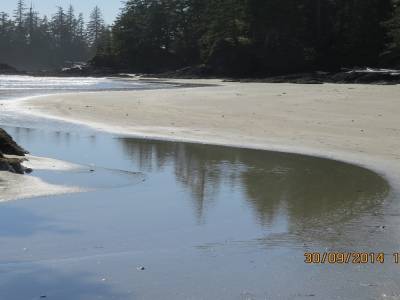 pacific rim,ile de vancouver,colombie-britannique