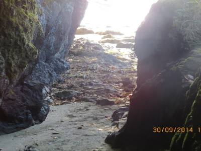pacific rim,ile de vancouver,colombie-britannique
