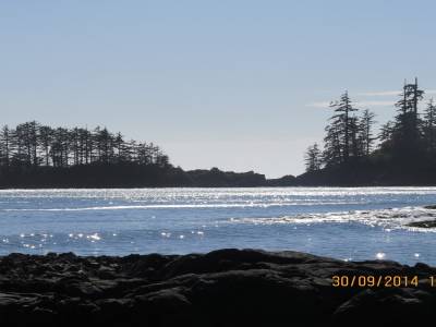 pacific rim,ile de vancouver,colombie-britannique