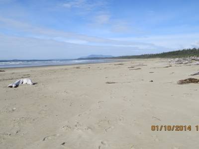 pacific rim,ile de vancouver,colombie-britannique