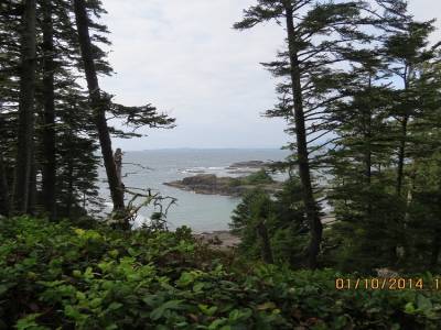 pacific rim,ile de vancouver,colombie-britannique