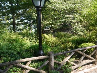 Central park