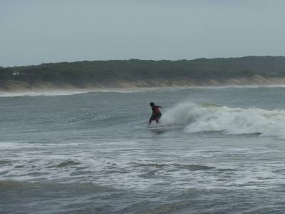 Surfeur