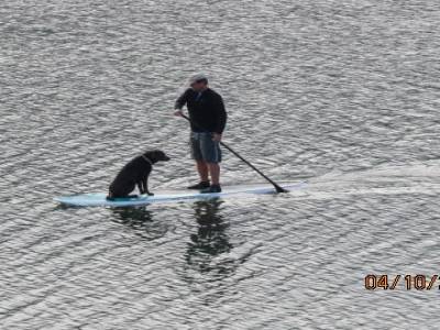 nanaimo,ile de vancouver,colombie-britannique