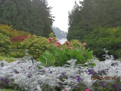 victaria,ile de vancouver,colombie-britannique