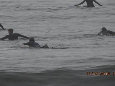 parc juan de fuca,ile de vancouver,colombie-britannique