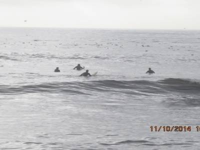 parc juan de fuca ,ile de vancouver,colombie-britannique