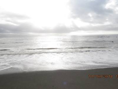 parc juan de fuca,ile de vancouver,colombie-britannique