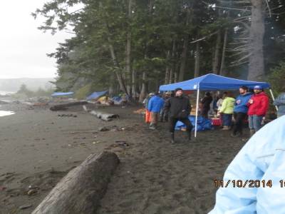 parc juan de fuca,ile de vancouver,colombie-britannique