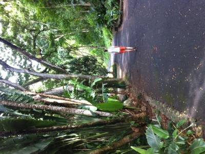 Waimea falls
