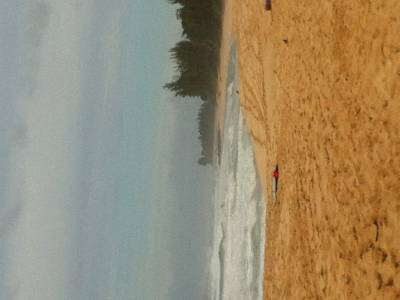 Banzai pipeline