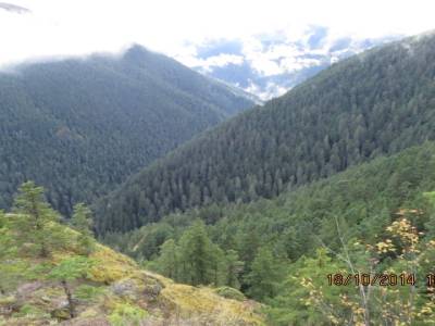mont olympic,washington,usa