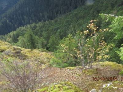 mont olympic ,washington,usa