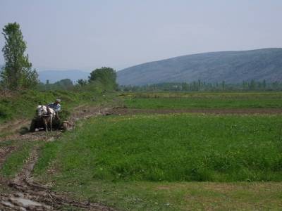 Paysans albanais