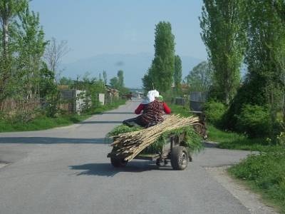 Paysans albanais