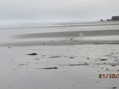pacific city,oregon ,usa