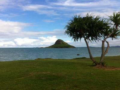 Polynesian center / jurassic parc kulea / chinaman's hat