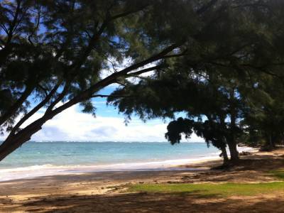 Polynesian center / jurassic parc kulea / chinaman's hat