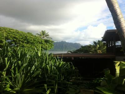 Paradise bay