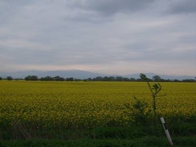 Sur la route de Bitola (Macédoine)