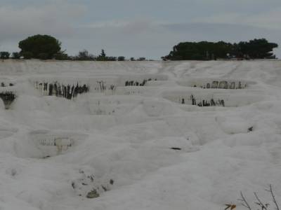 On dirait de la neige!