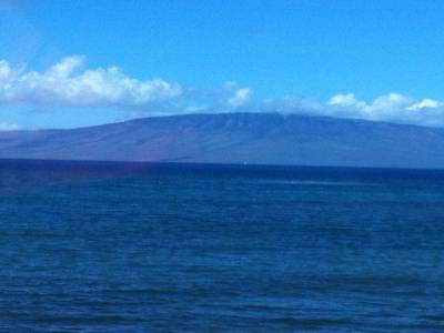 Whales sanctuary