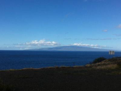 Whales sanctuary