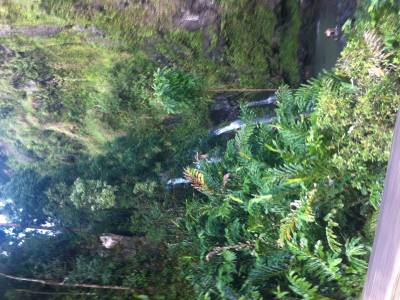 Road to Hana