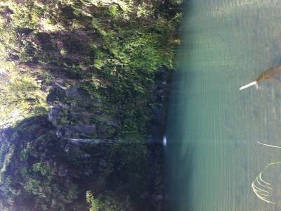 Road to Hana