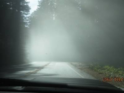 sur la route 101 direction arcata en californie 