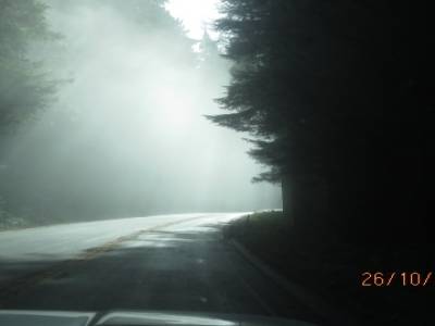 sur la route 101 direction arcata en californie 