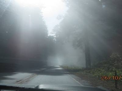 sur la route 101 direction de arcata en californie