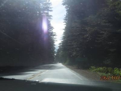 sur la route 101 direction de arcata californie