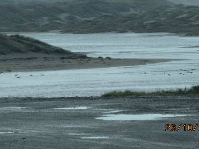 sur la route 101 direction arcata californie