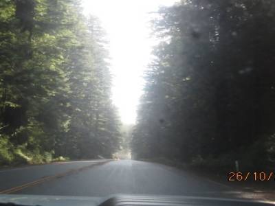pres de arcata en californie