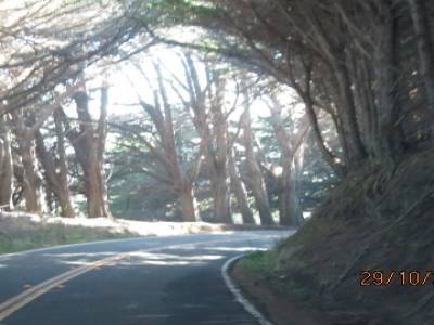 sur la route 101 direction de fort bragg,californie