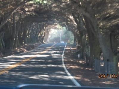 sur la route 101 direction de fort bragg,californie