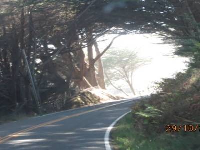 sur la route 101 direction de fort bragg,californie