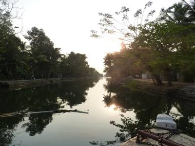 Les backwaters d'Allapey...