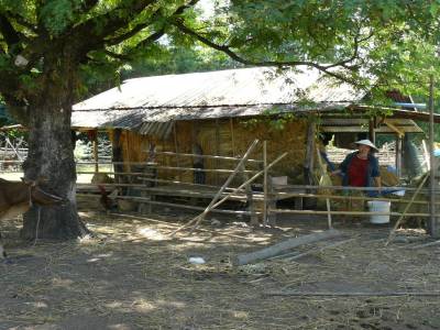 Donkho