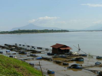 Donkho