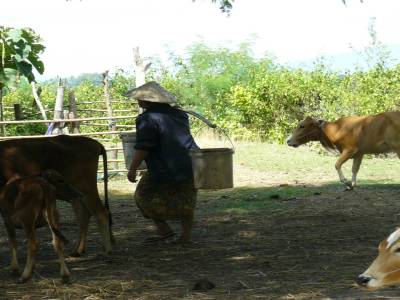 Donkho
