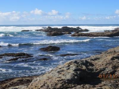 fort bragg,californie