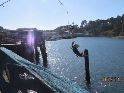 fort bragg,californie ,usa