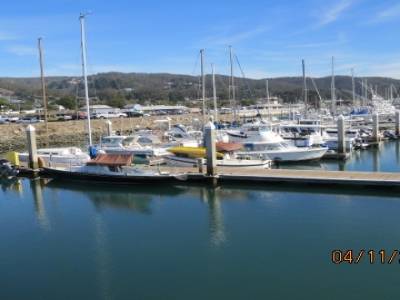 half moon bay,californie,usa
