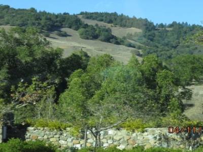 en route vers olema,californie,usa 