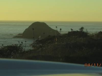 route 1 ,entre olema et sea ranch,californie,usa