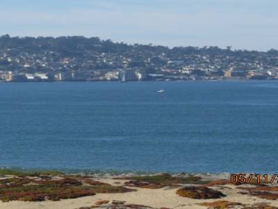 monterey,californie,usa