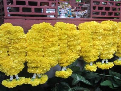 Guirlandes de fleurs